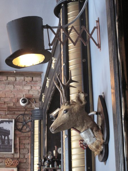 már meg sem lepődünk egy őzön